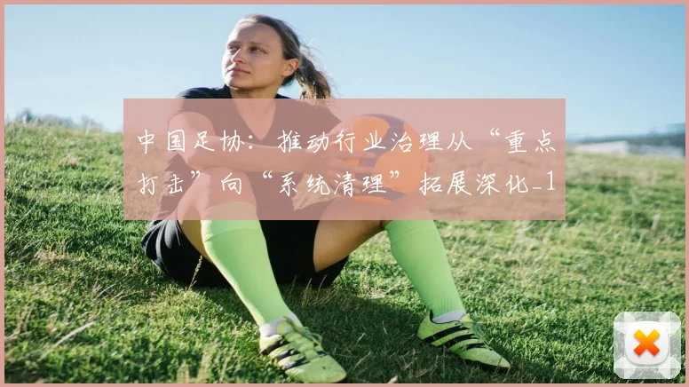中国足协：推动行业治理从“重点打击”向“系统清理”拓展深化_1
