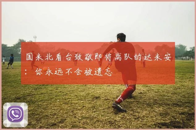 国米北看台致敬即将离队的达米安：你永远不会被遗忘