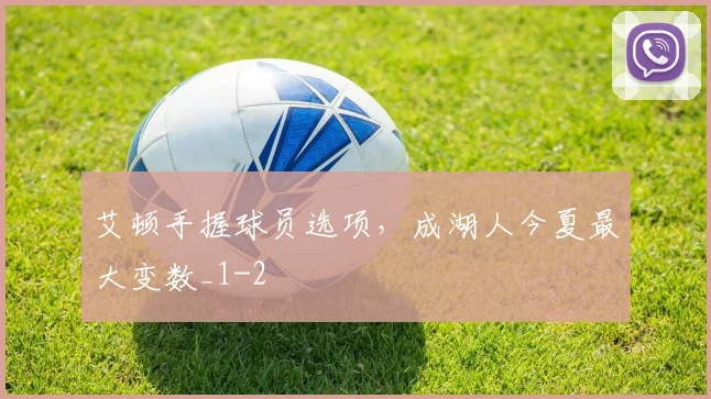 艾顿手握球员选项，成湖人今夏最大变数_1