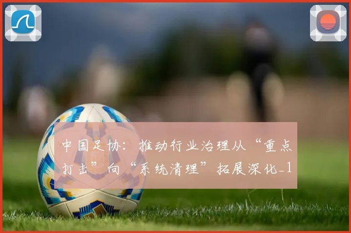 中国足协：推动行业治理从“重点打击”向“系统清理”拓展深化_1